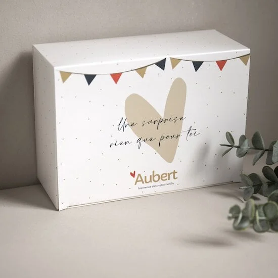 aubert-1891228