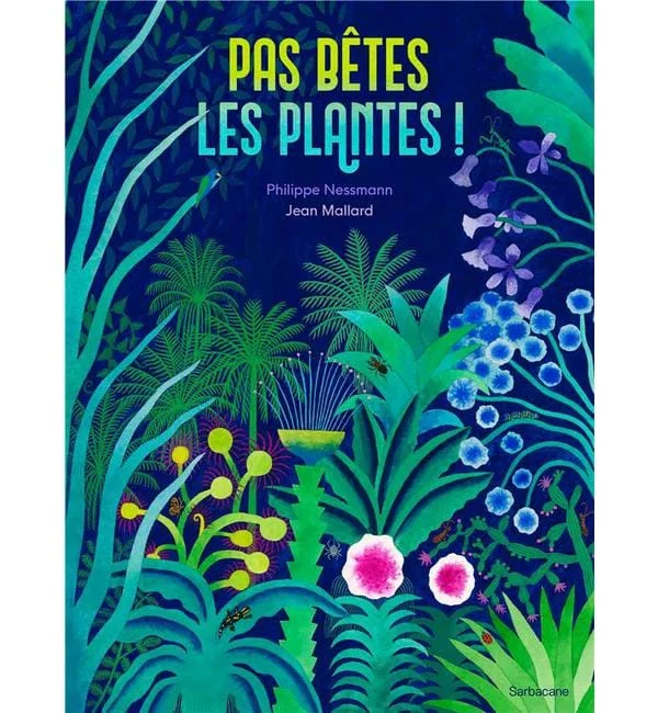 letoucanreveur-109239