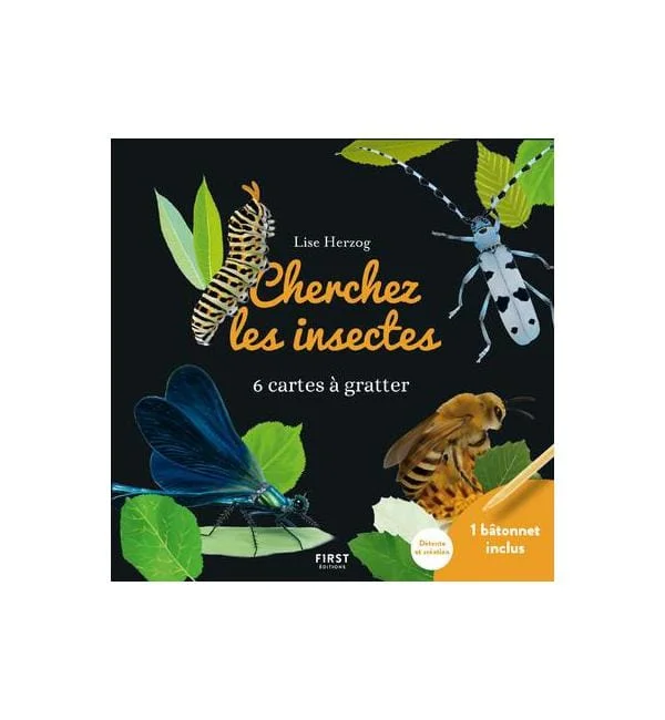 letoucanreveur-114169
