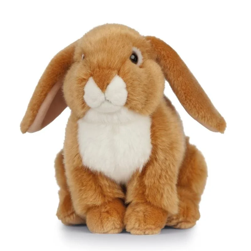 letoucanreveur-120300