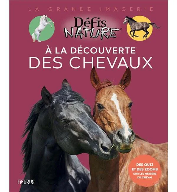 letoucanreveur-134853