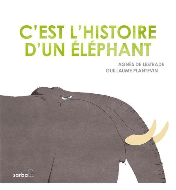 letoucanreveur-174584