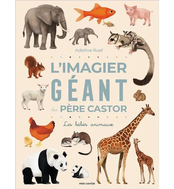 letoucanreveur-177646