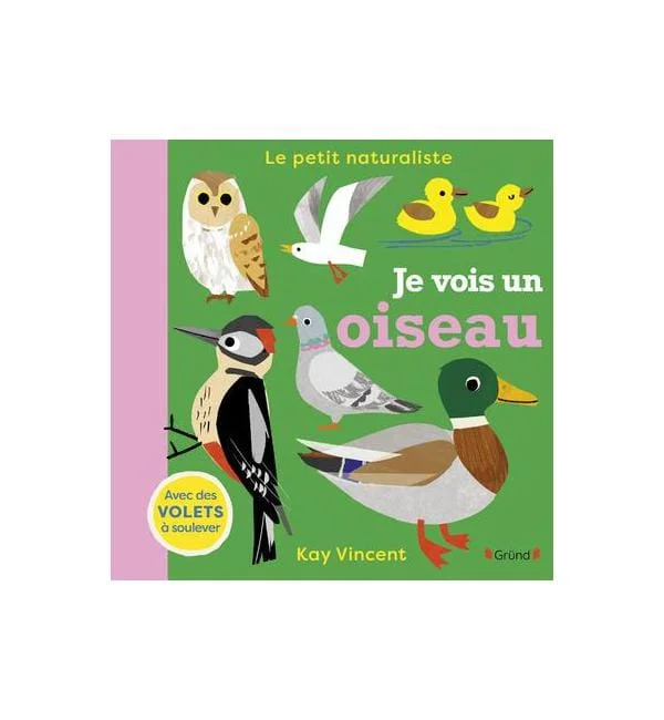 letoucanreveur-177784