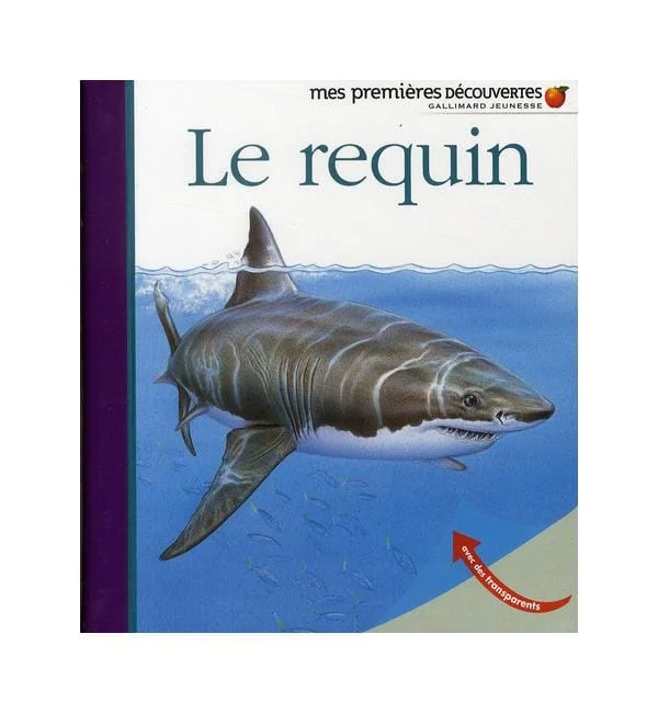 letoucanreveur-1888000
