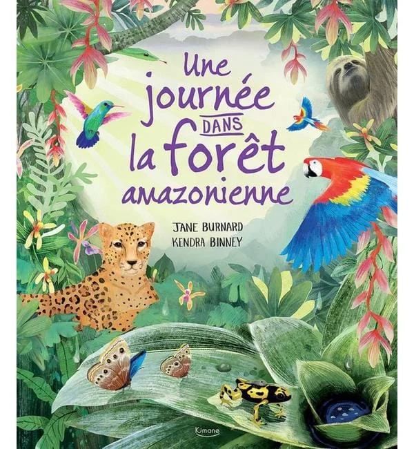 letoucanreveur-229881