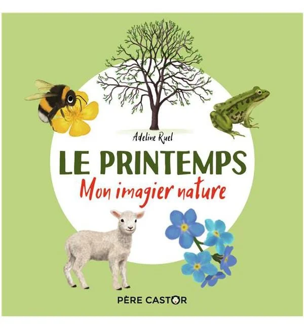 letoucanreveur-88515