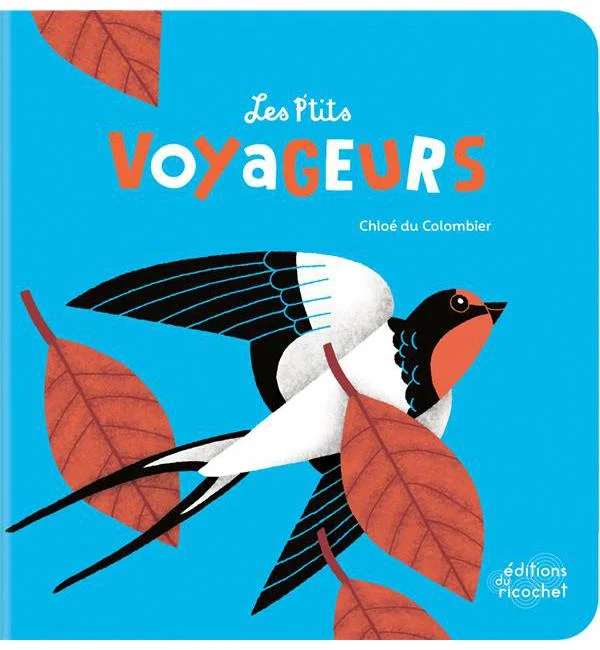 letoucanreveur-92102