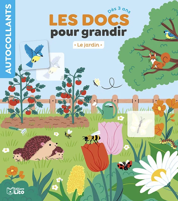 letoucanreveur-93969